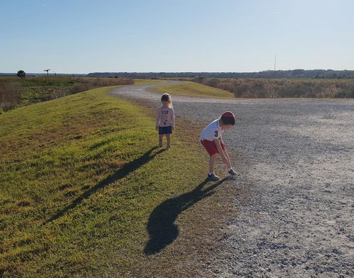 שמורת טבע בפלורידה פארק לאומי ילדים משחקים