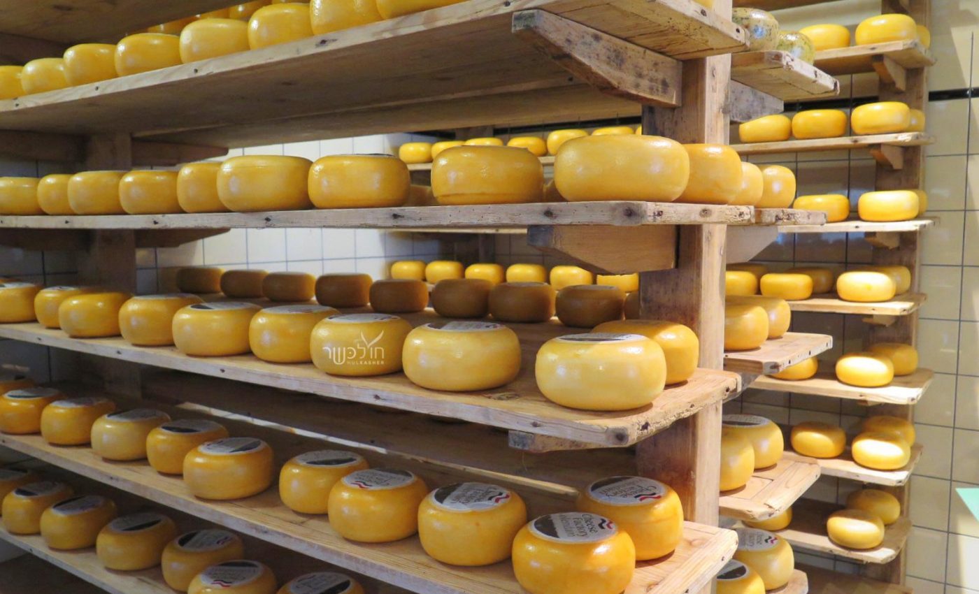 מפעל גבינות בוולנדם