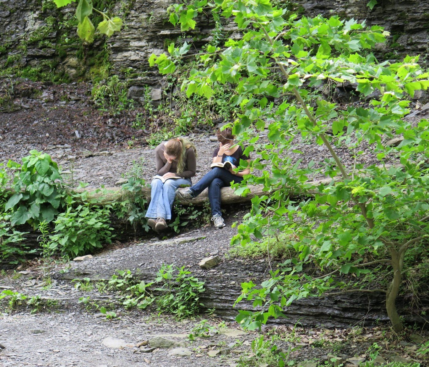 בנות לומדות ליד המפל