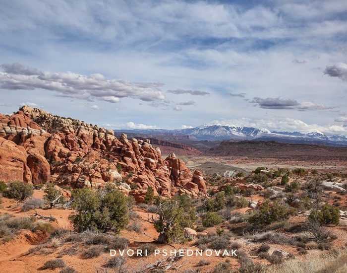 PANORAMA POINT VIEW ARCHES